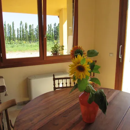 L’ Angolo degli Ortaggi-3