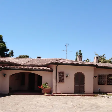 Town & Country Guest House B&B-3